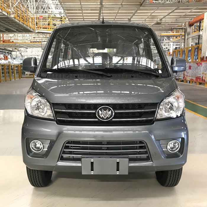 What are the types of electric vehicles?