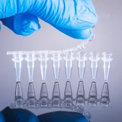 Types of Lab Utensil