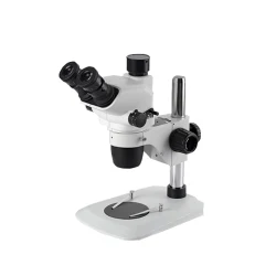 Key types of microscopes and their features