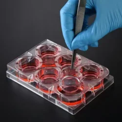 Here's an overview of cell culture inserts and their applications