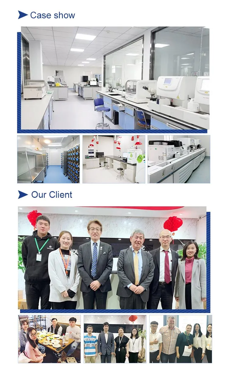 Bioevopeak 40X 100X 400X 1000X Trinocular (Siedentopf) Optical Biological Microscope