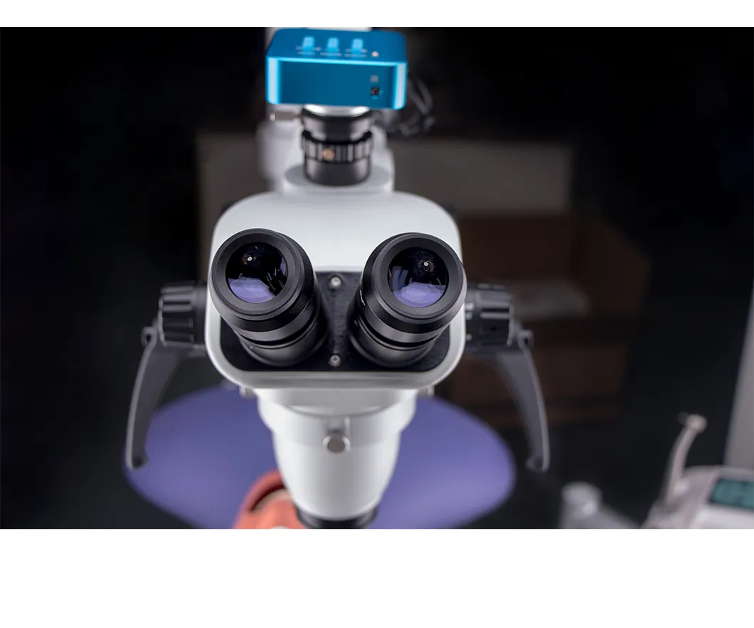 Dalaude Dental Teaching Optional Dental Equipment Like Microscope with Camera