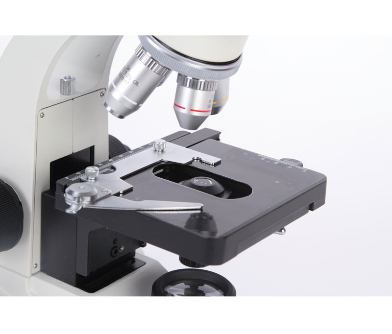 High Quality Popular Keen Price Zoom Binocular Biological Microscopes for Medical/Student Study