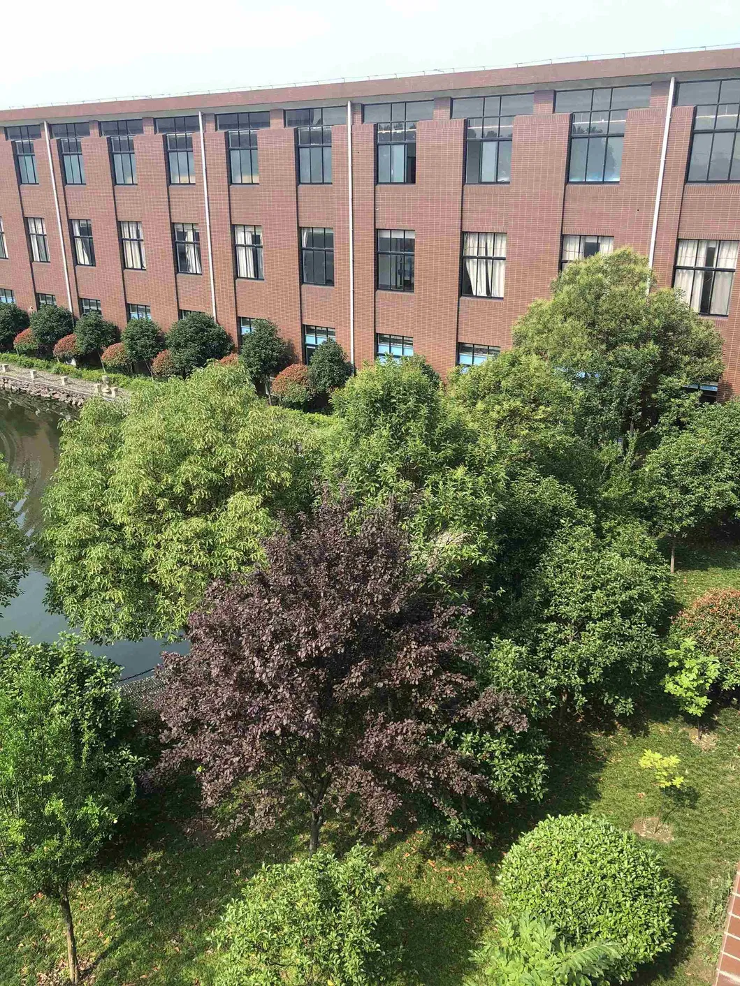 Manufacturer Laser Lens Collimator Collimating Optical Lens for Camera with Housing