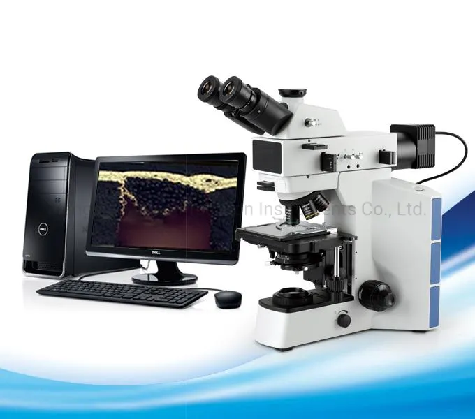 Metallurgical Microscope with Camera 100X to 1000X Intc-L100HD