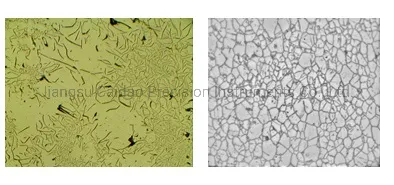 Professional Lab Transmission Polarizing Microscope with Digital Camera Intc-LV11