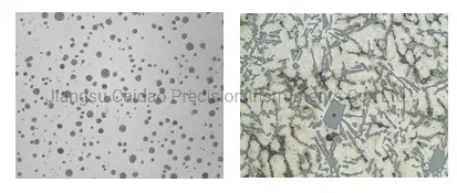 Professional Lab Transmission Polarizing Microscope with Digital Camera Intc-LV11