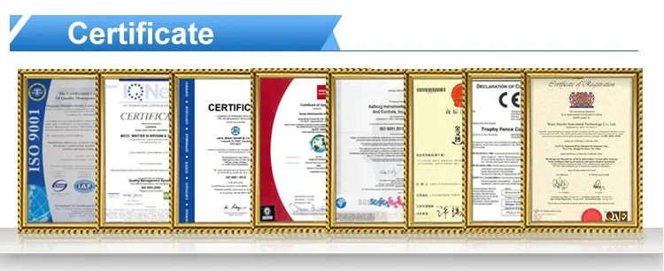 Scanning Electron Microscope Eco Sem