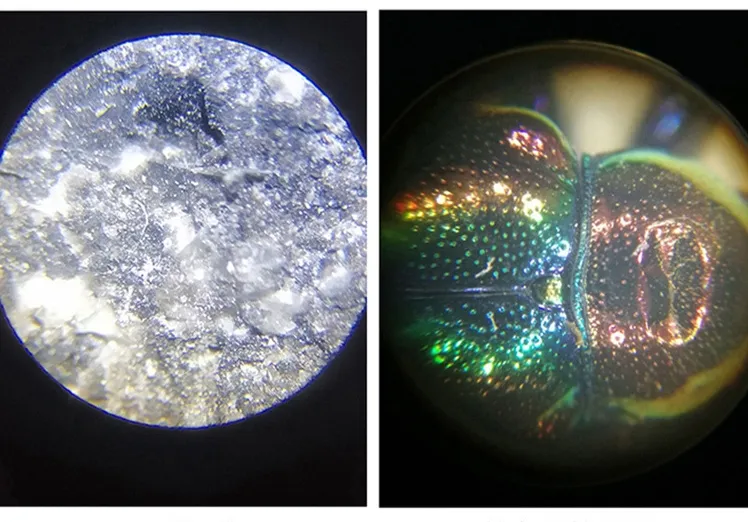 Xsp-055b-If Infinite Optical System Binocular Microscope